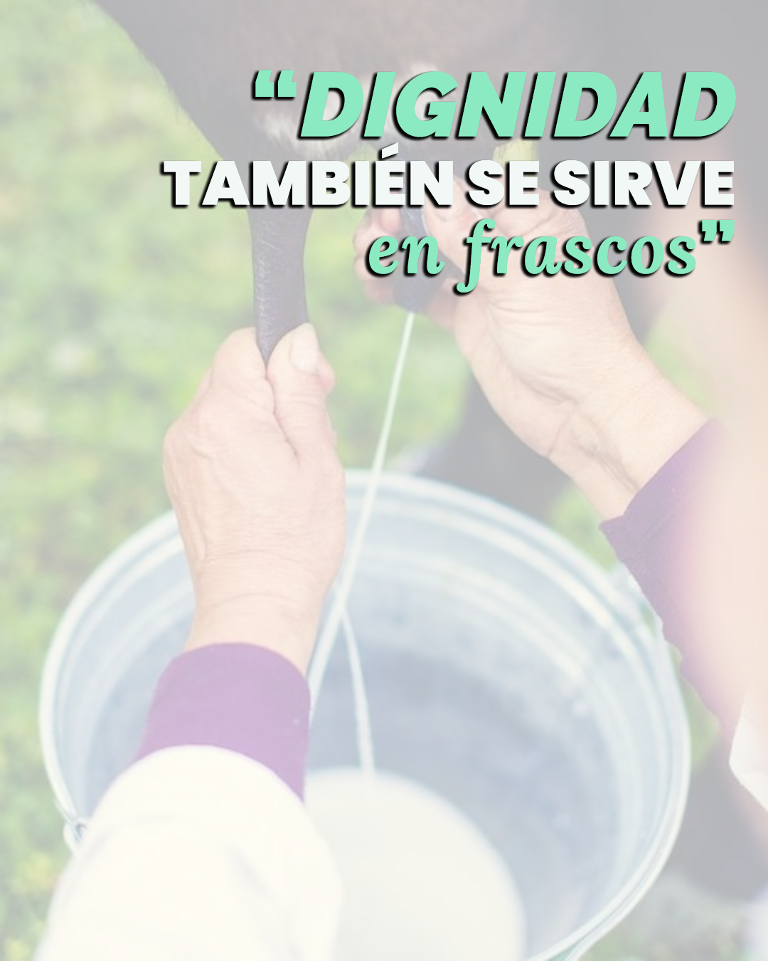 POST 6 MAYO